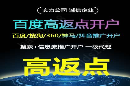 竞价排名的投放策略与效果评估案例